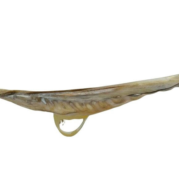 Caviar Server Natural  Iridescence Mother Of Pearl Shell Footed Base Design - Picture 6 of 6